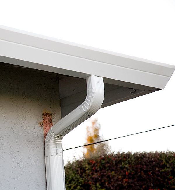 Professional Gutter Soft Washing Services Florida